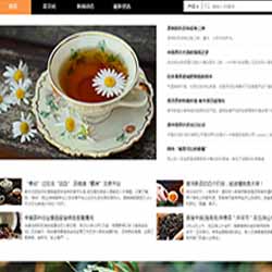 網(wǎng)站建設(shè)